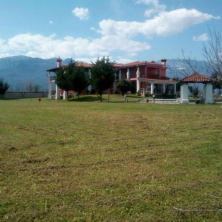 Αρχοντικό Παπανικολάου Villa Ligaria  Exterior photo