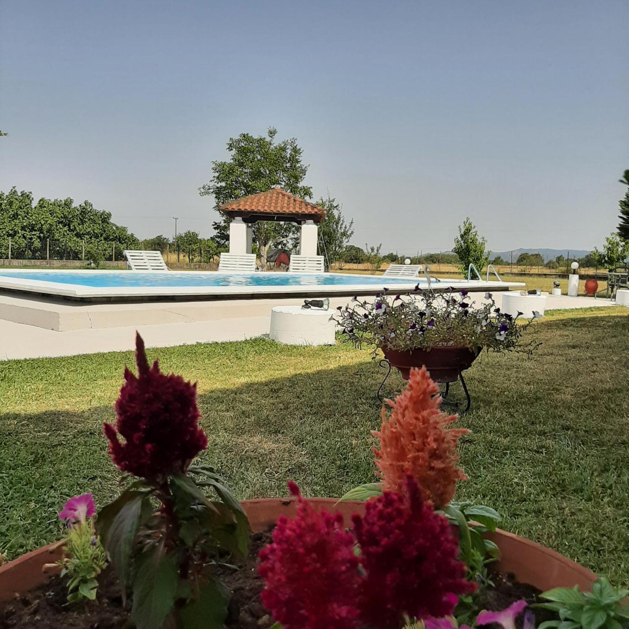 Αρχοντικό Παπανικολάου Villa Ligaria  Exterior photo